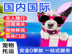 合肥新桥机场托运国际宠物托运 【国